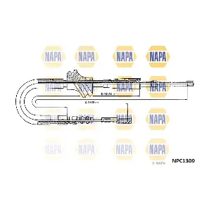 NAPA NPC1309