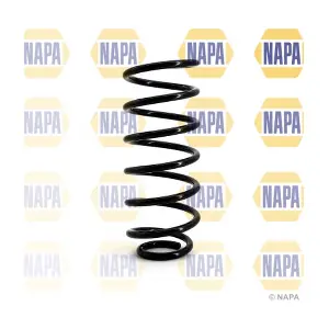 NCS1039 NAPA