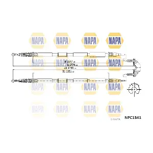 NAPA NPC1341
