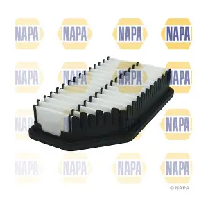 NAPA NFA1255