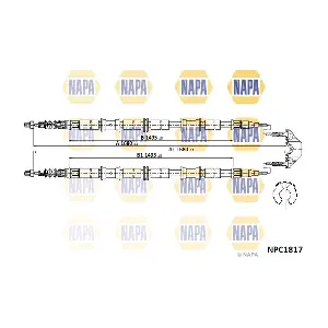 NPC1817 NAPA