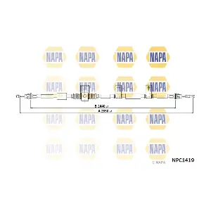 NPC1419 NAPA