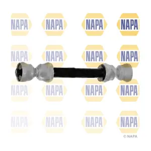 NST4241 NAPA