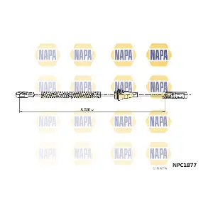 NPC1877 NAPA