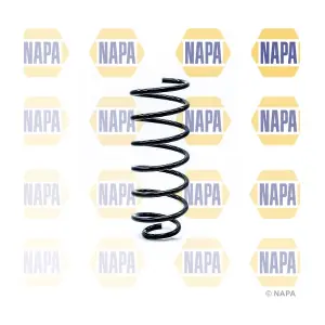 NCS1187 NAPA