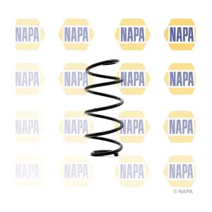 NCS1329 NAPA