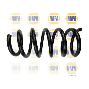 NCS1860 NAPA