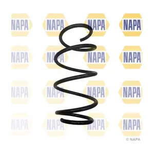 NCS2022 NAPA