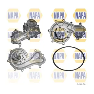 NAPA NWP1047
