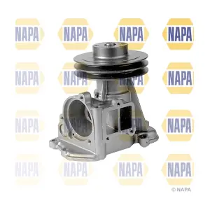 NAPA NWP1311