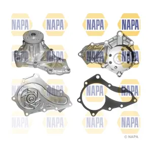 NAPA NWP1367