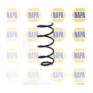 NCS1102 NAPA