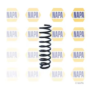 NCS1257 NAPA