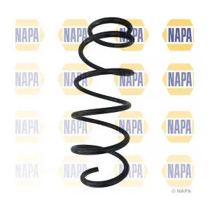 NCS1077 NAPA