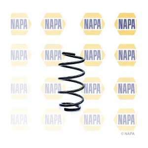NCS1166 NAPA