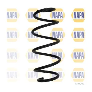 NCS1113 NAPA