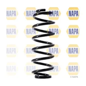 NCS1443 NAPA