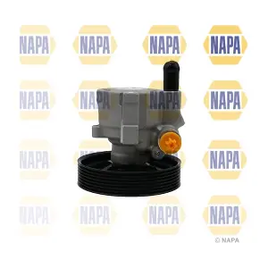 NPS1097 NAPA