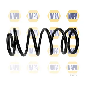 NCS1901 NAPA