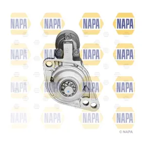 NAPA NDE2018