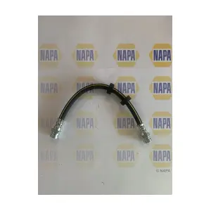 NBH1294 NAPA