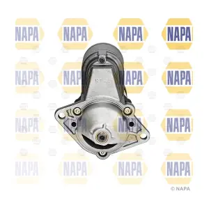 NAPA NDE2024