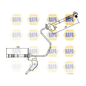 NBH1119 NAPA