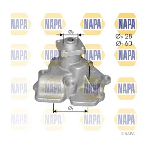 NAPA NWP1177