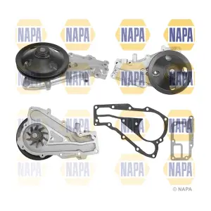 NAPA NWP1436