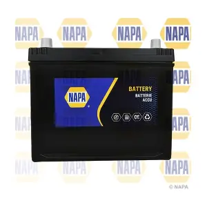 NAPA 069N