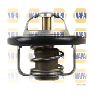 NTH1119 NAPA