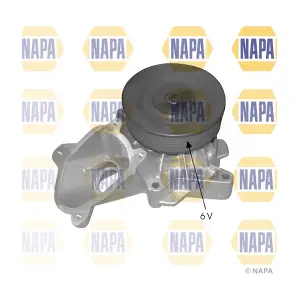 NAPA NWP1099