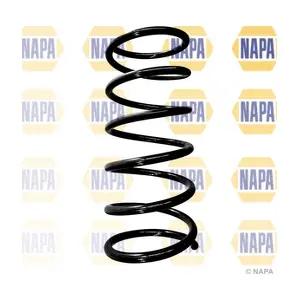 NAPA NCS1789