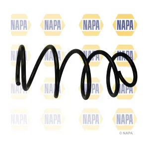 NCS1907 NAPA