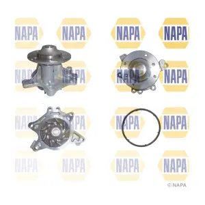 NWP1532 NAPA