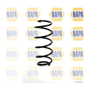 NCS1021 NAPA