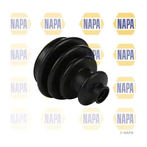 NCB1002 NAPA