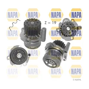 NAPA NWP1062