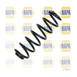 NCS2023 NAPA