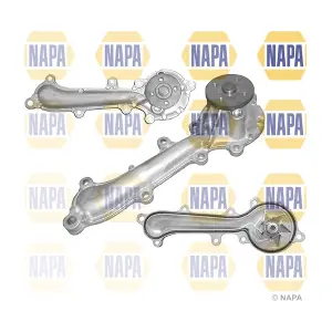 NWP1361 NAPA