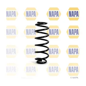 NAPA NCS1135