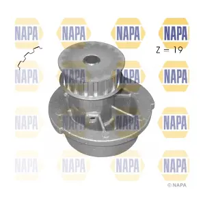 NAPA NWP1395