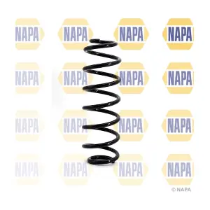 NCS1122 NAPA