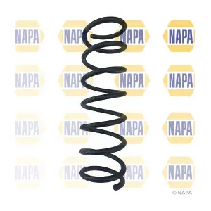 NCS1034 NAPA