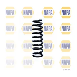NCS1181 NAPA