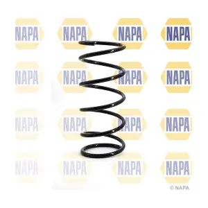 NCS1011 NAPA