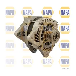 NAL1854 NAPA