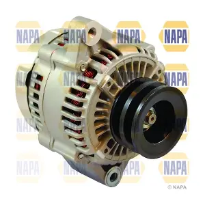 NAL1888 NAPA