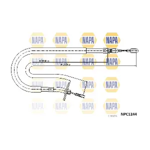 NPC1244 NAPA