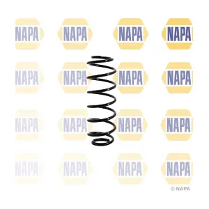 NCS1141 NAPA